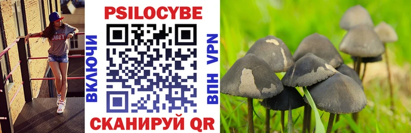 Галлюциногенные грибы Cubensis  площадка какой сайт  Краснодар 